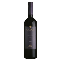 CADUS TUPUNGATO MALBEC