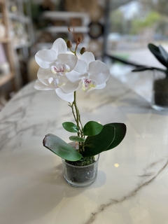 orquidea jolie 26 cm
