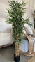 Planta de Bamboo - comprar online