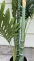 Planta Areca - comprar online