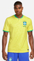 CAMISETA MASCULINA DO BRASIL PRIMEIRA LINHA na internet