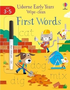 EARLY YEARS WIPE CLEAN FIRST WORDS