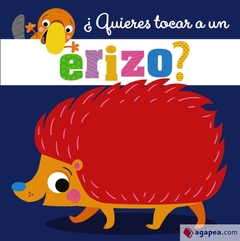 Quieres tocar a un erizo?