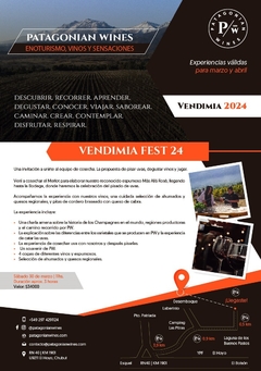 Vendimia FEST 2024