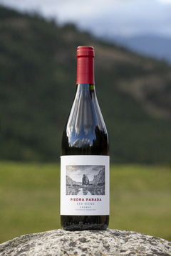 Vino Piedra Parada Red Blend Merlot - Pinot Noir (750 ml)