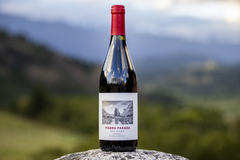 Vino Piedra Parada Red Blend Merlot - Pinot Noir (750 ml) - Patagonian Wines