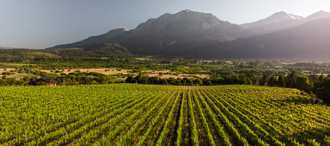 Carrusel Patagonian Wines