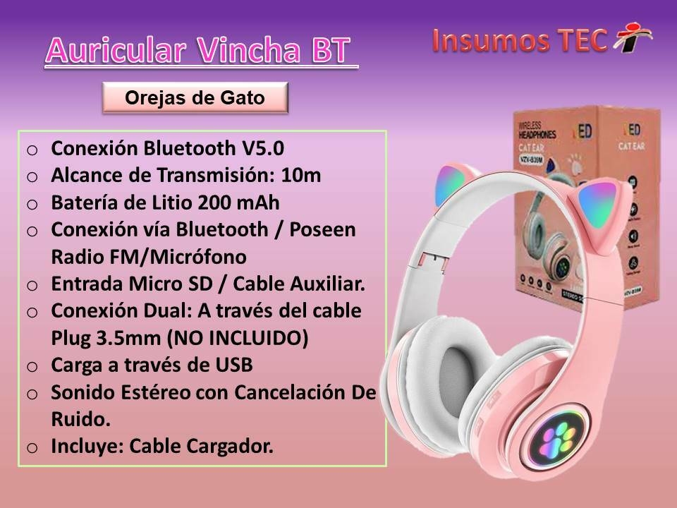 Auriculares Bluetooth de TV Auricular inalámbrico con micrófono Adaptador  USB Auriculares con cancelación de ruido Bajo plegable estéreo para  auriculares de TV