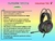 Auricular Gamer Noga St 8108 Mic Led Rgb