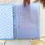 Caderneta de Saúde Minimalista Poá Azul - comprar online