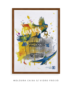 Livres - João 8:36 - Quadro Decorativo - comprar online