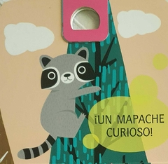 Encuéntrame en el bosque - UN LIBRO CON SOLAPAS SORPRESA - Los cuentos de Ali