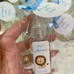 Lembrancinha Home spray Vários modelos - comprar online