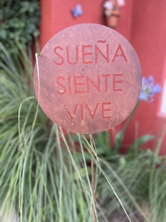 Pinche Sueña siente…