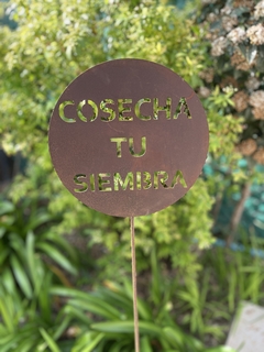 Pinche Cosecha tu siembra…