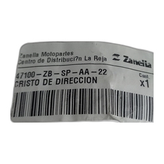 CRISTO DIRECCION COMPLETO Zanella en internet