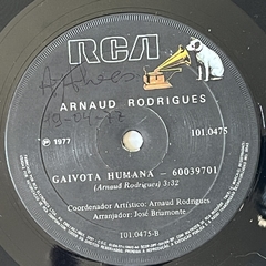 ARNAUD RODRIGUES - INDIO DO URUGUAI / GAIOVTA HUMANA, 1977 - comprar online