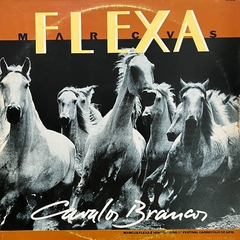 MARCUS FLEXA, CAVALOS BRANCOS, 1992