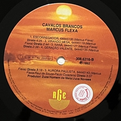 Imagem do MARCUS FLEXA, CAVALOS BRANCOS, 1992