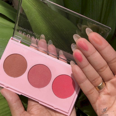 Paleta de Blush - Phallebeauty - comprar online