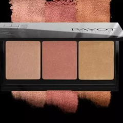 Payot por Ale de Souza 3 em 1 Multieffect - Paleta Multifuncional 12g na internet