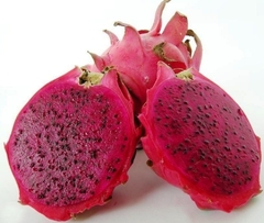 Pitaya pitaia vermelha Und