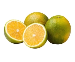 Laranja Paulista 1und