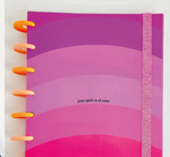 AGENDA PLANNER 2 HS DISCOS MEDIANOS - comprar online