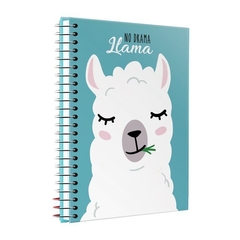 CUADERNO ALAMO RAYADO ABC: NO DRAMA LLAMA