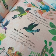 EL GRAN LIBRO DE LAS AVES - tienda online