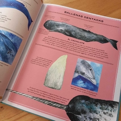 BALLENAS: VIDA SECRETA - comprar online