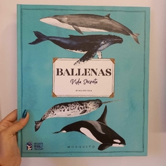 BALLENAS: VIDA SECRETA