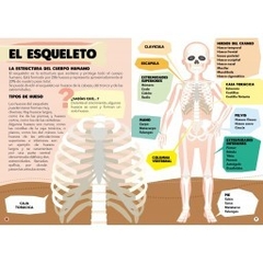 VIAJA, APRENDE, EXPLORA TODO SOBRE EL CUERPO HUMANO - tienda online