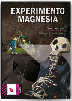 EXPERIMIENTO MAGNESIA