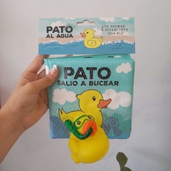 PATO AL AGUA: SALIÓ A BUCEAR