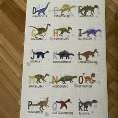 PLAYMAT DINOS