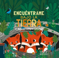 ENCUÉNTRAME EN LA TIERRA