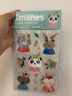 SET IMANES ANIMALES