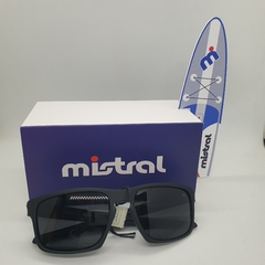 MISTRAL - Mari Vision