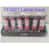 LAPIZ LABIAL SILVER X 24 UNID CRAZYLOVE TE5027