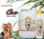 Sabonete Liquido Pet de Coco 500ml - Cães e Gatos - Vetys do Brasil.