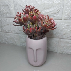 Cachepot Rosto Rosa