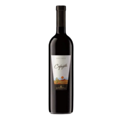 Vino Cafayate Malbec - contiene 750cc-