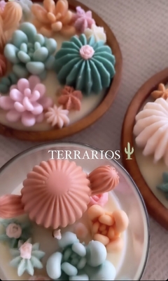 Terrario - tienda online