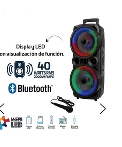 Parlante Bluetooth París de 2x 8" - comprar online