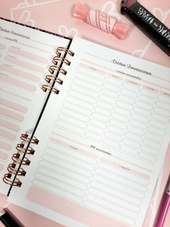 Planner financeiro Living