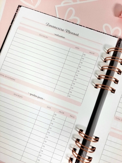 Imagem do Planner financeiro Living