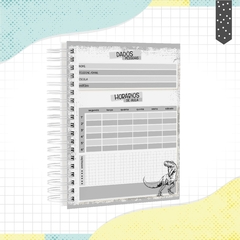 Caderno Dinossauro 01 - tamanho colegial - comprar online