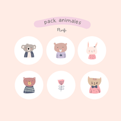 Pack Animales - florfiglobal