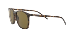 Rayban ORB4387 710/73 LIGTH HAVANA en internet